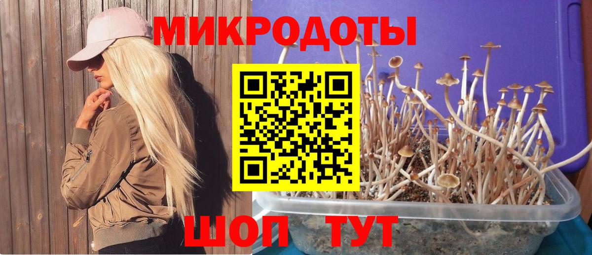 Галлюциногенные грибы GOLDEN TEACHER  Вход с VPN  Шебекино 